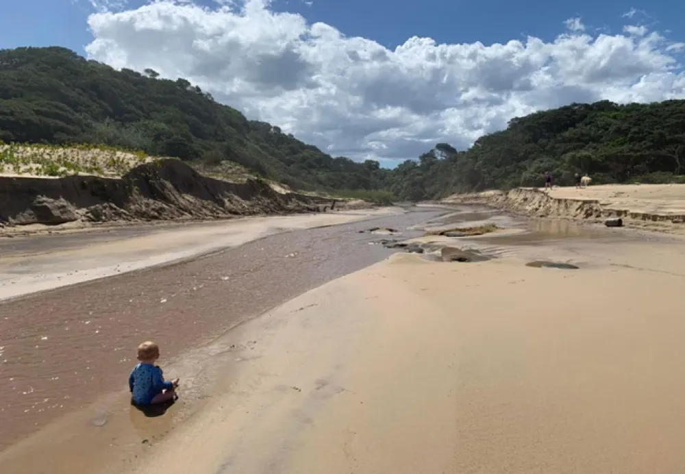 Milkwood Bend Farm Resort