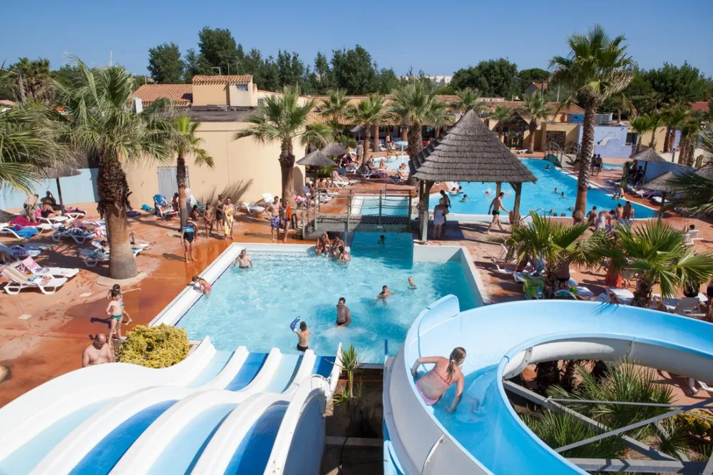 Les Méditerranées - Nouvelle Floride