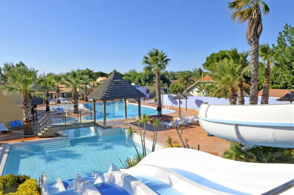 Les Méditerranées - Nouvelle Floride