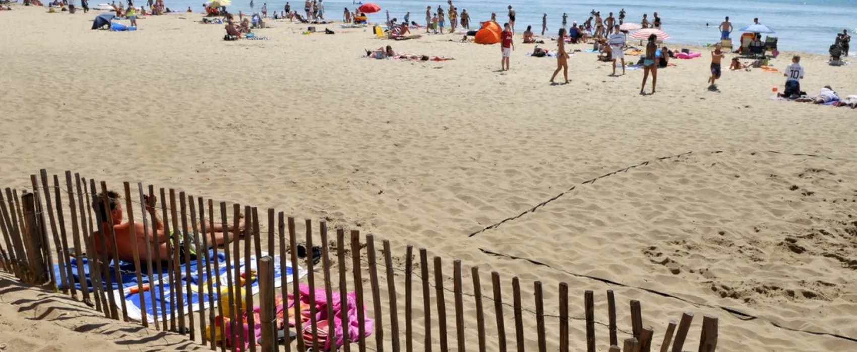 Les Méditerranées - Nouvelle Floride