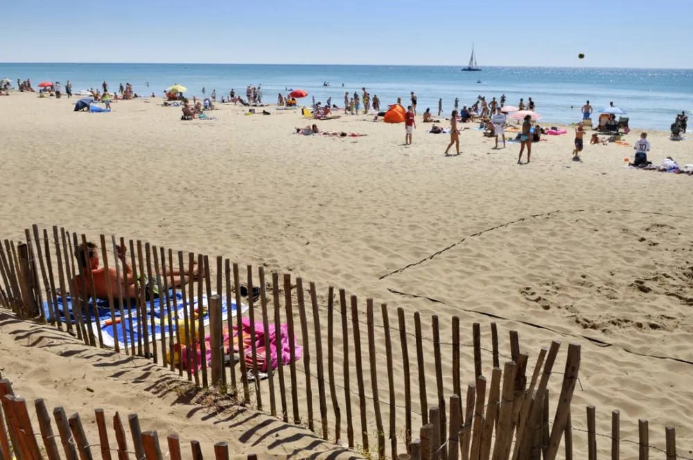 Les Méditerranées - Nouvelle Floride