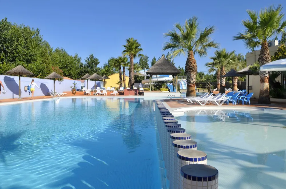 Les Méditerranées - Nouvelle Floride