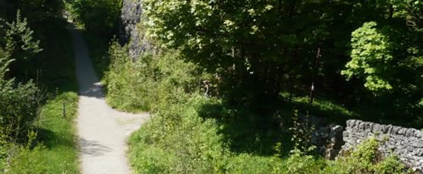 Beech Croft Farm Caravan and Camping Park