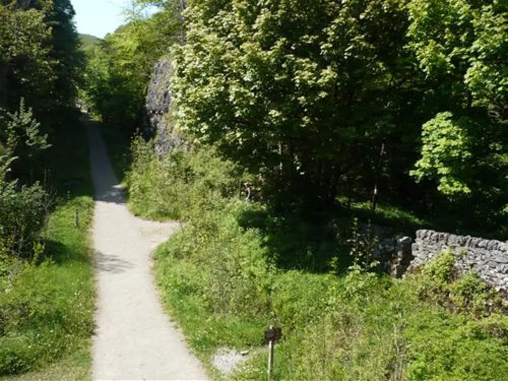 Beech Croft Farm Caravan and Camping Park