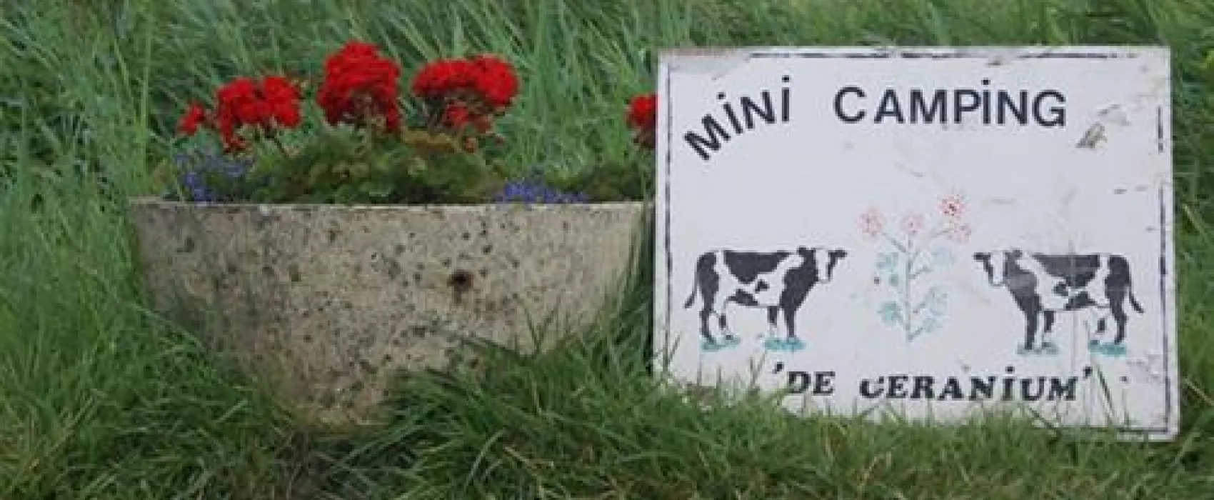 Mini Camping De Geranium