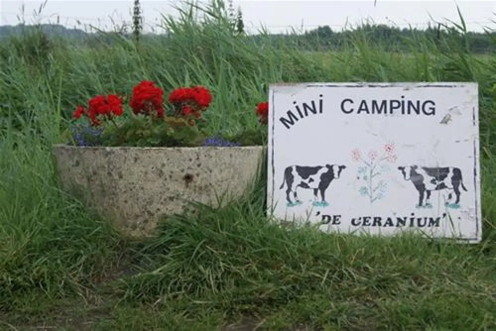 Mini Camping De Geranium