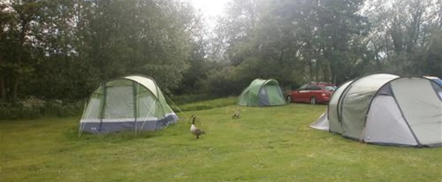 Oxford Camping and Caravanning Club Site