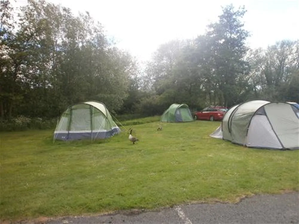 Oxford Camping and Caravanning Club Site