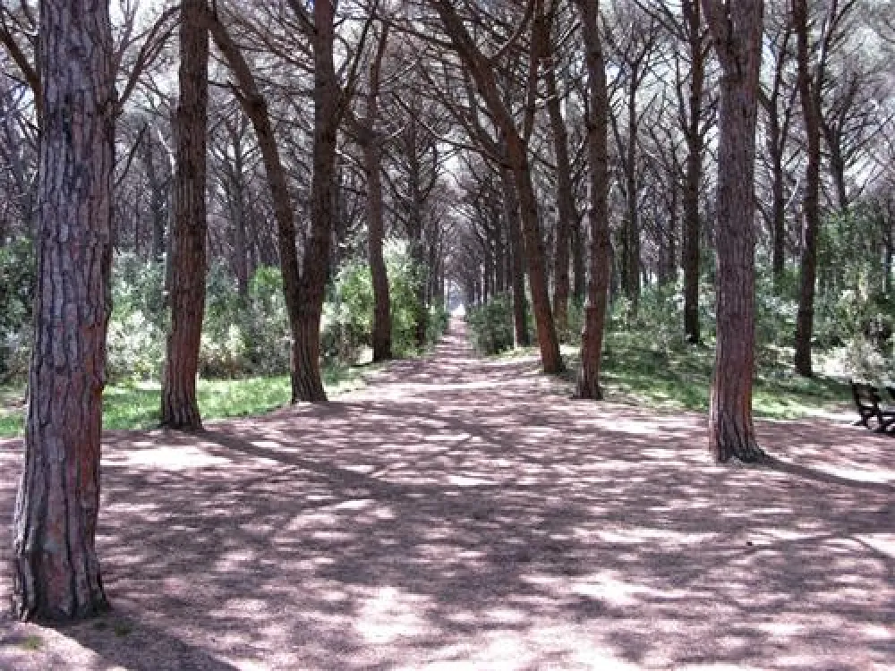 New Camping Village Le Tamerici