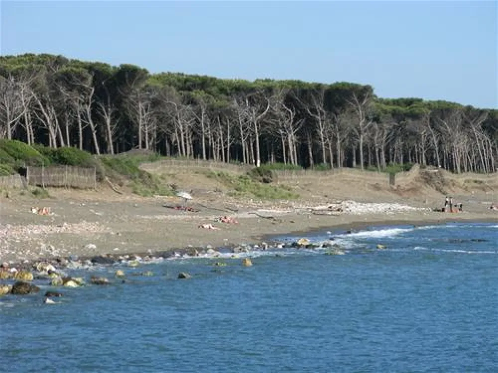 New Camping Village Le Tamerici