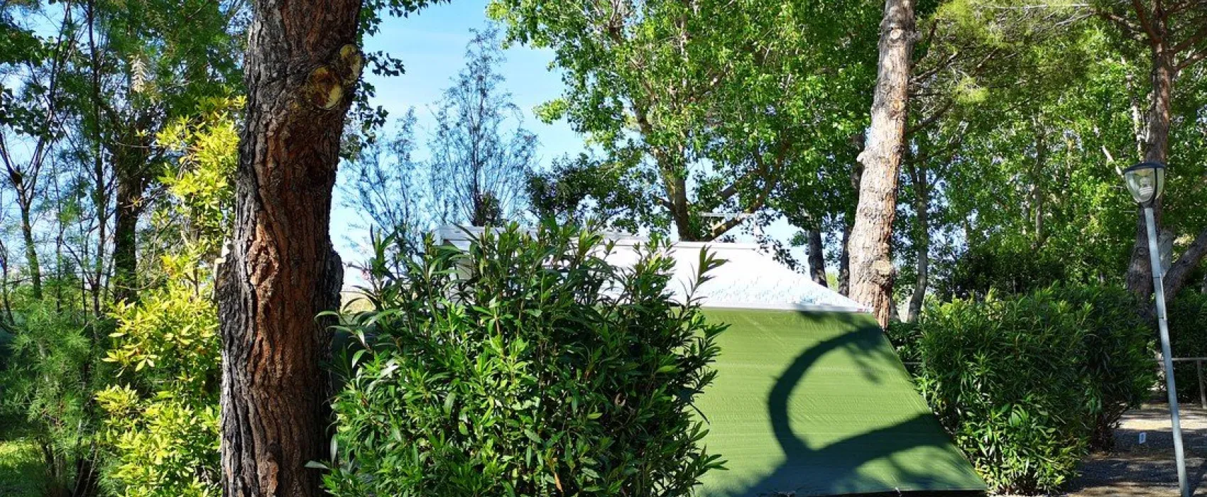 New Camping Village Le Tamerici