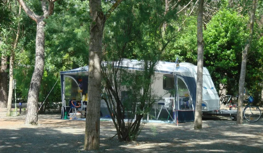 New Camping Village Le Tamerici