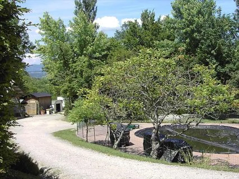 Camping International