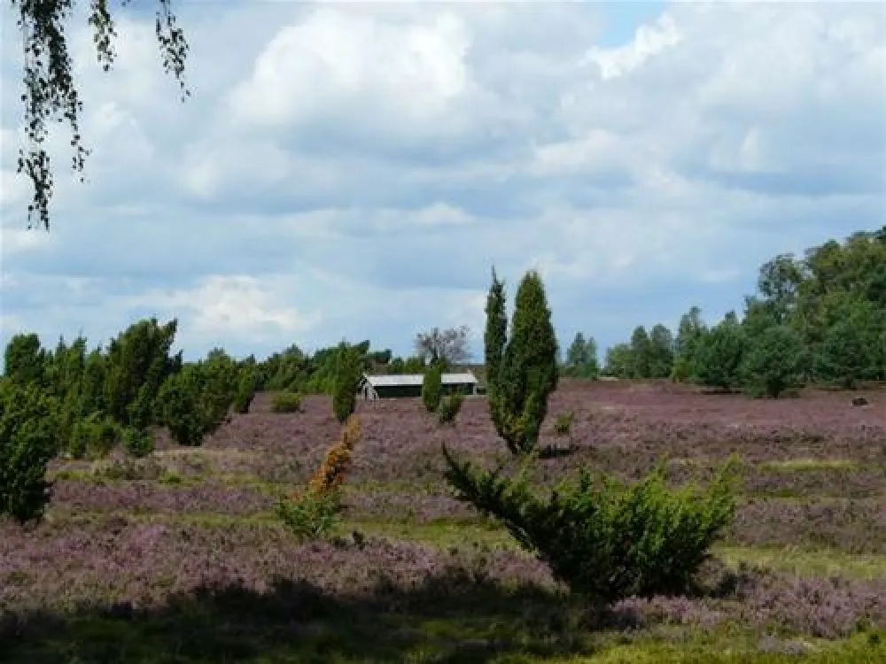 Campingplatz "Auf dem Simpel"