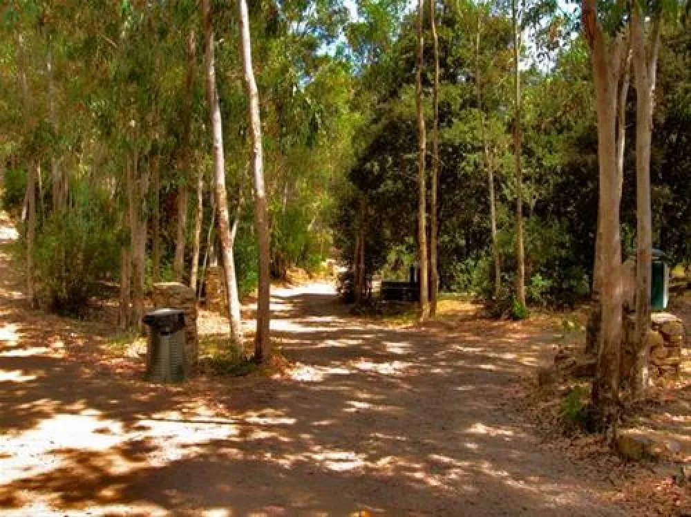 Camping Sciopadroxiu