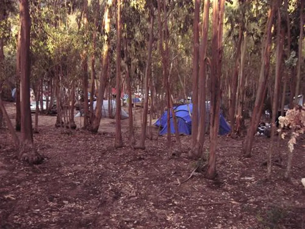 Camping Sciopadroxiu