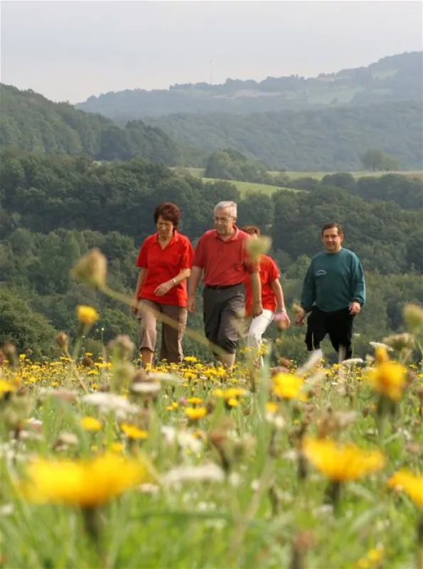 Theeltal-Camping Lebach