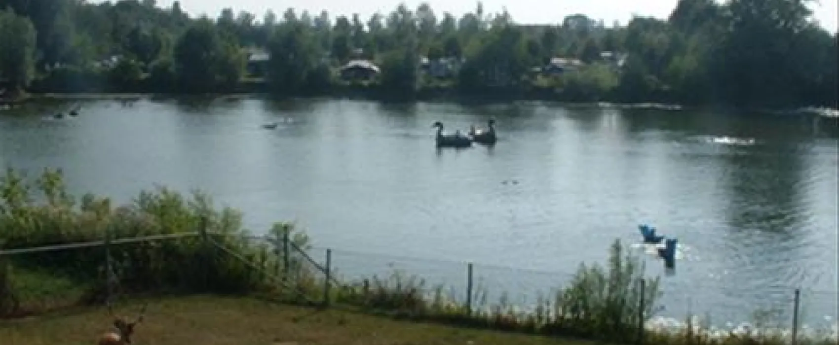 Camping De Stuurmanskolk