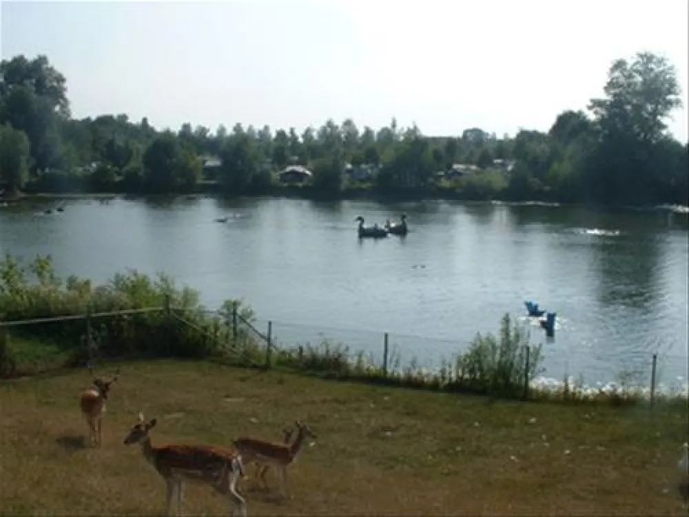 Camping De Stuurmanskolk