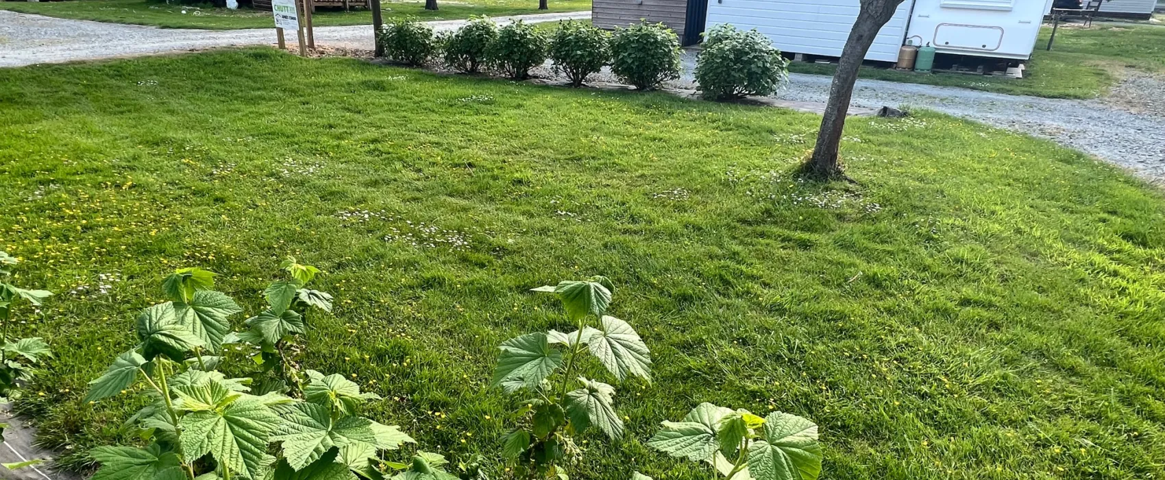 Camping de la seine & spa