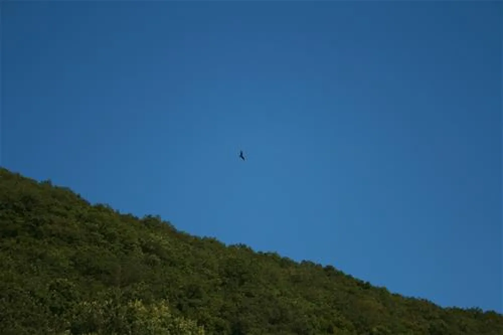 Camping zum stillen Winkel