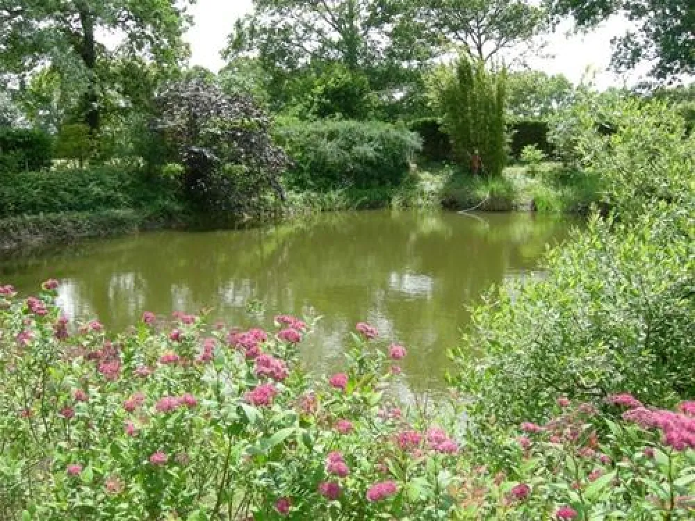 Camping du Bois de Beaumard