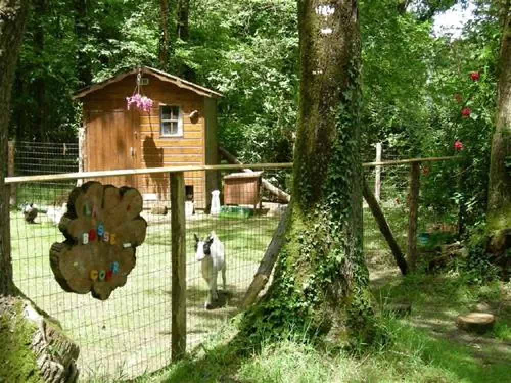 Camping du Bois de Beaumard