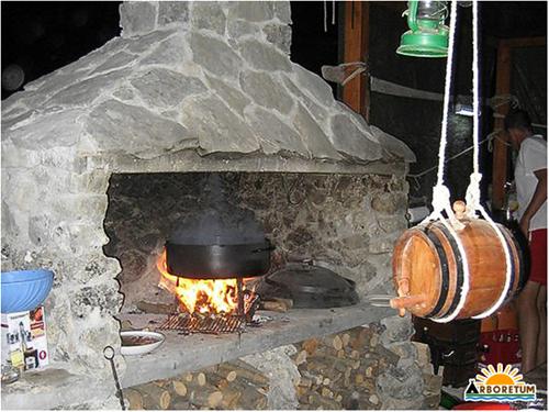 Camping Arboretum photo 3