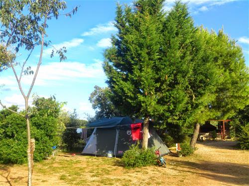 Camping Arboretum photo 2