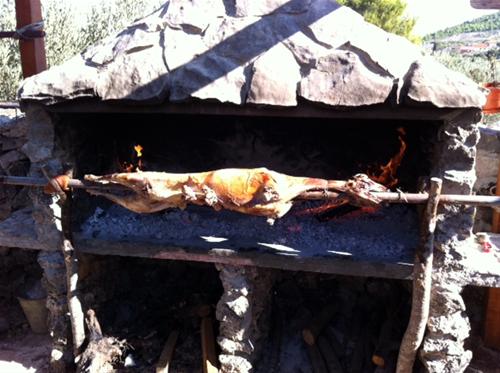 Camping Arboretum photo 4