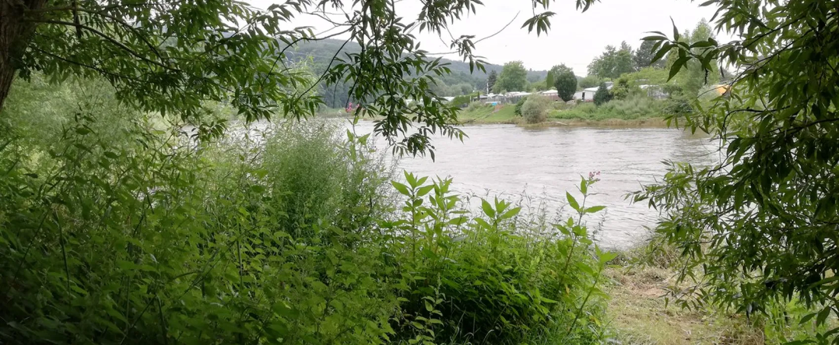 Naturcamp an der Weser