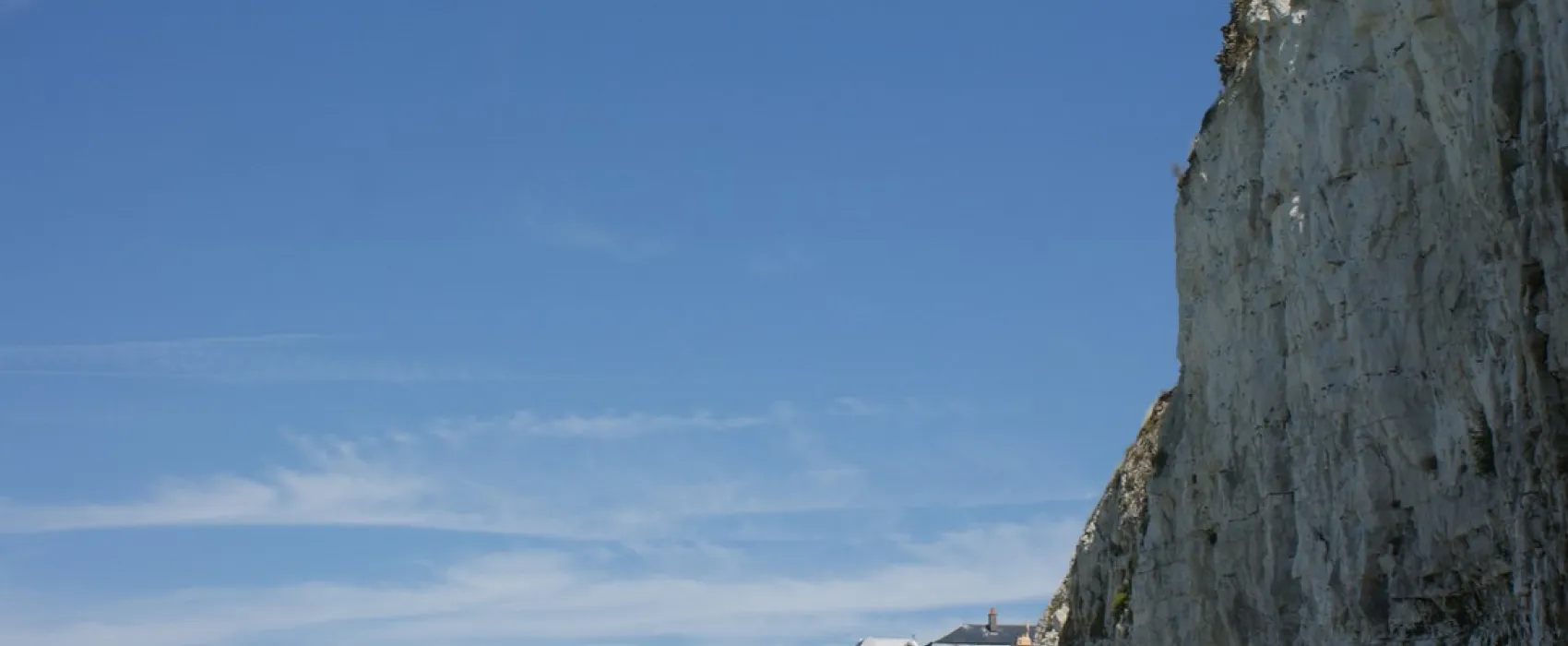 Flower Camping Les Marguerites