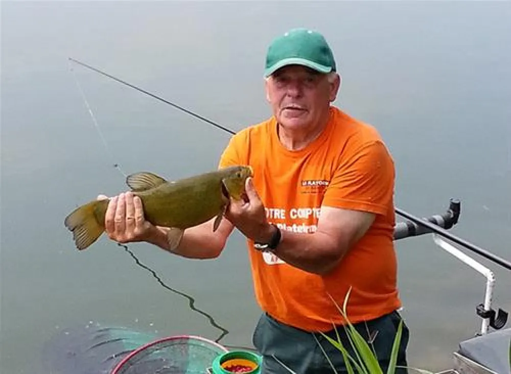 Flower Camping Les Marguerites