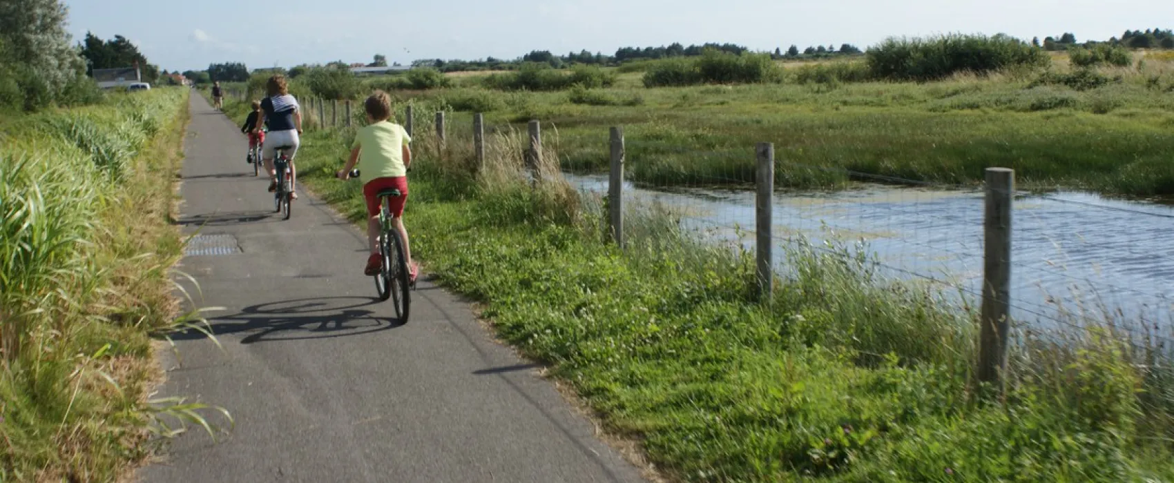 Flower Camping Les Marguerites