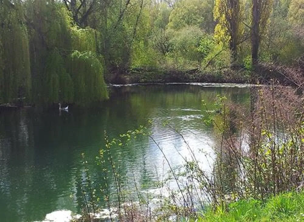 Flower Camping Les Marguerites