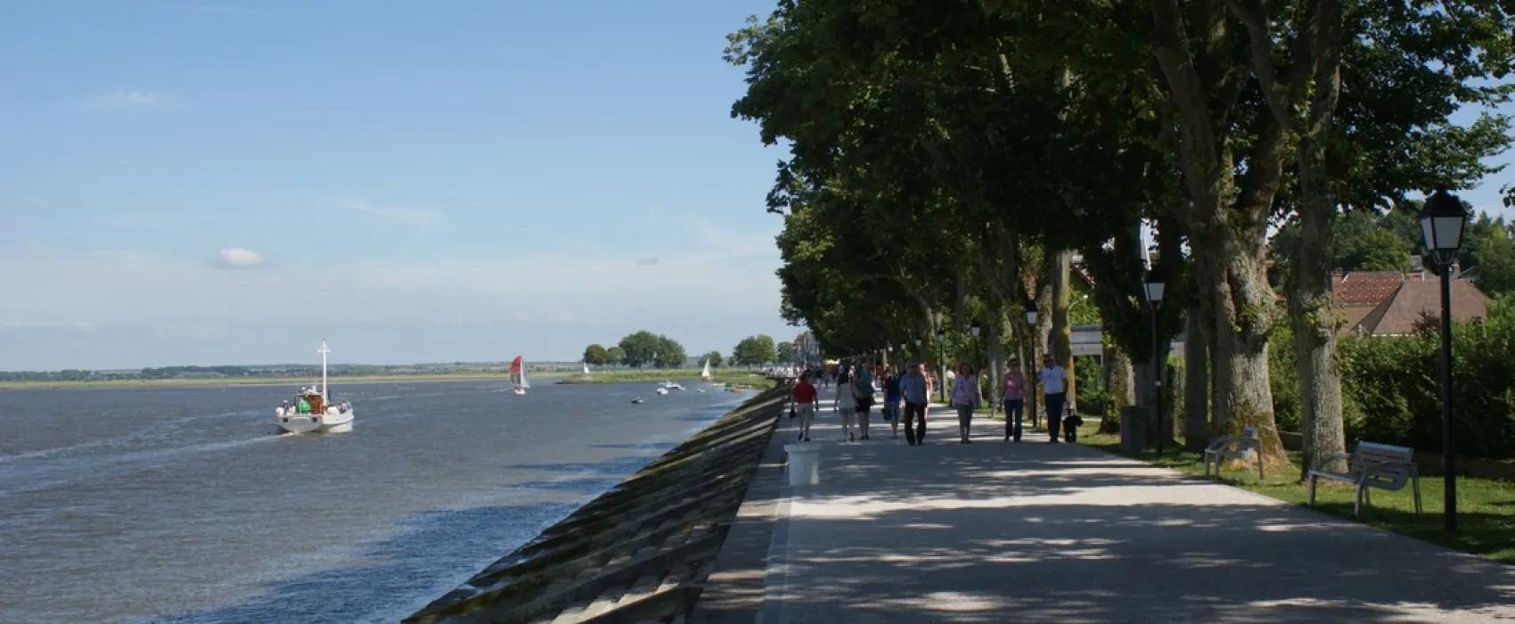 Flower Camping Les Marguerites