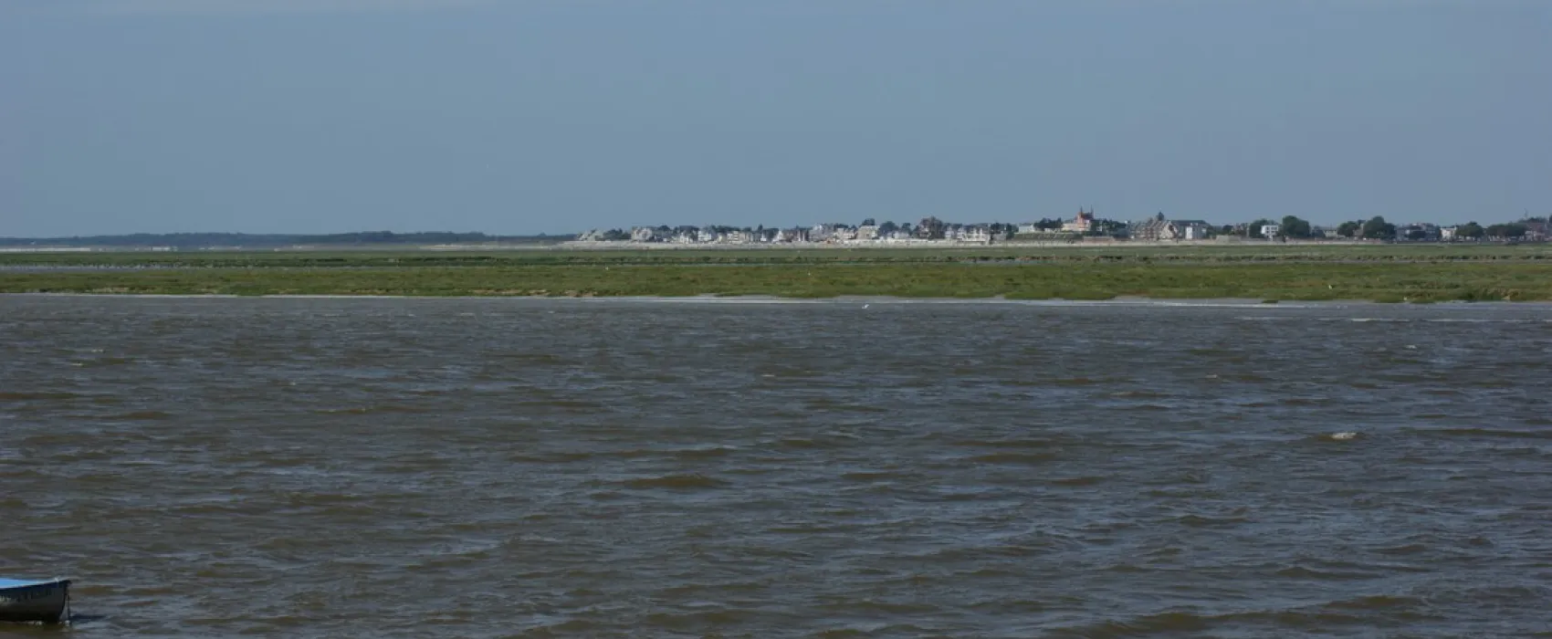 Flower Camping Les Marguerites
