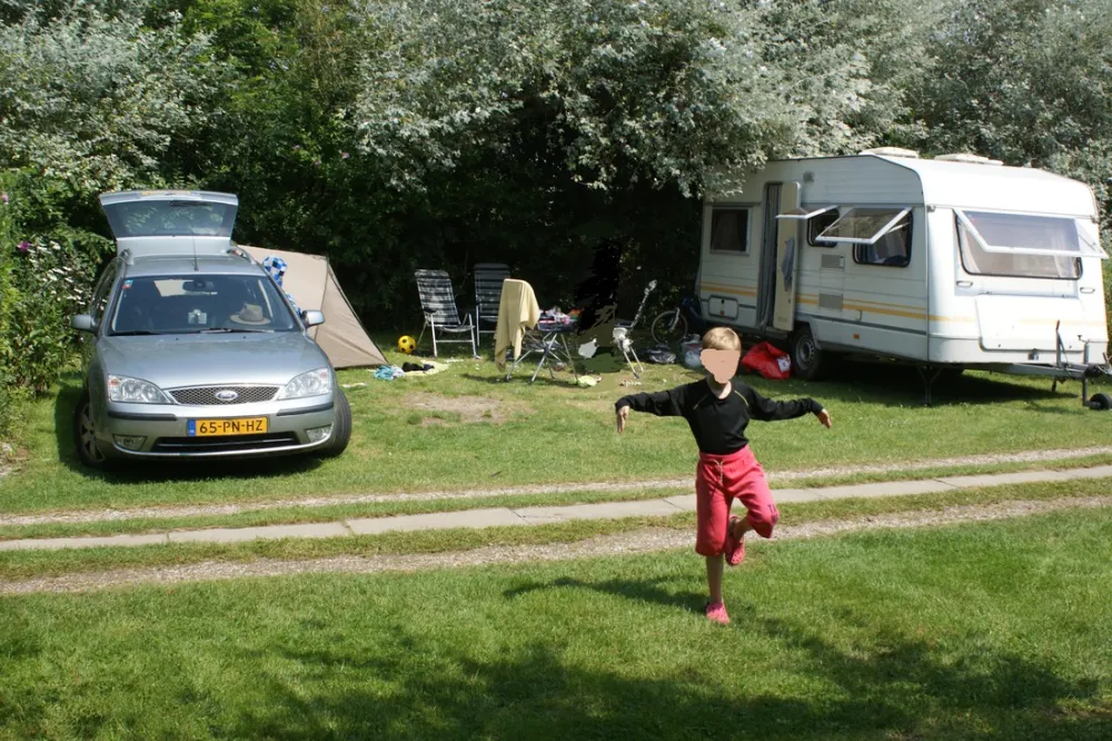 Flower Camping Les Marguerites