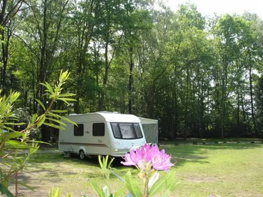 Alpine Grove Touring Park