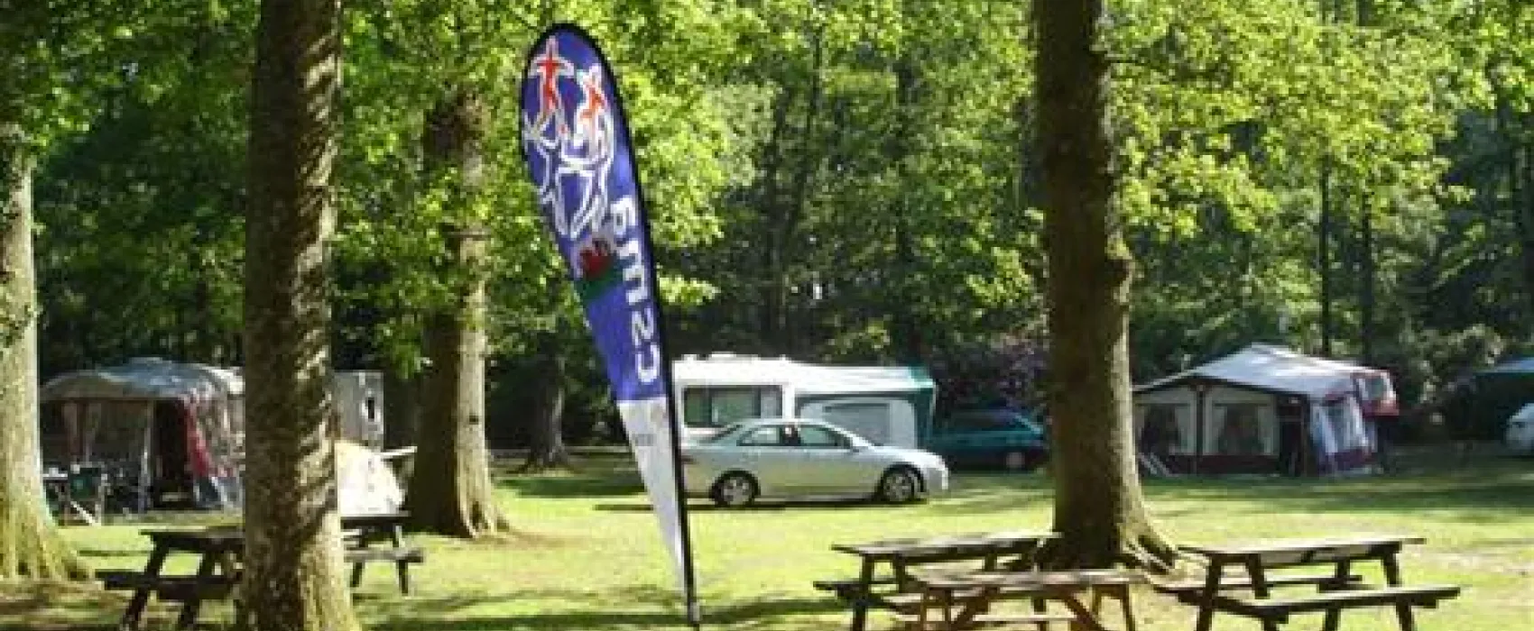 Alpine Grove Touring Park