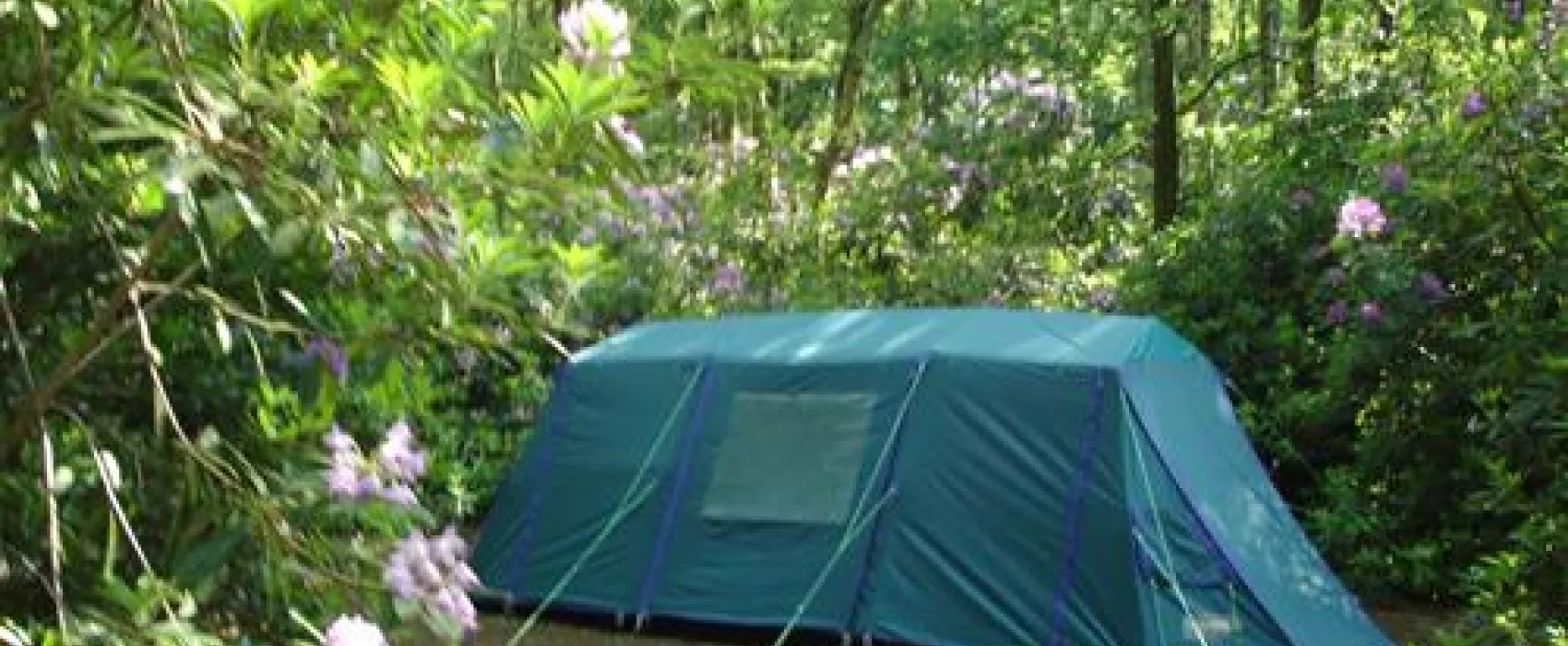 Alpine Grove Touring Park