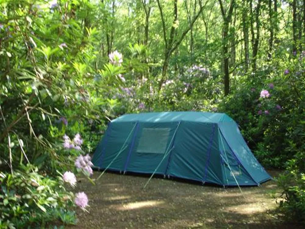 Alpine Grove Touring Park