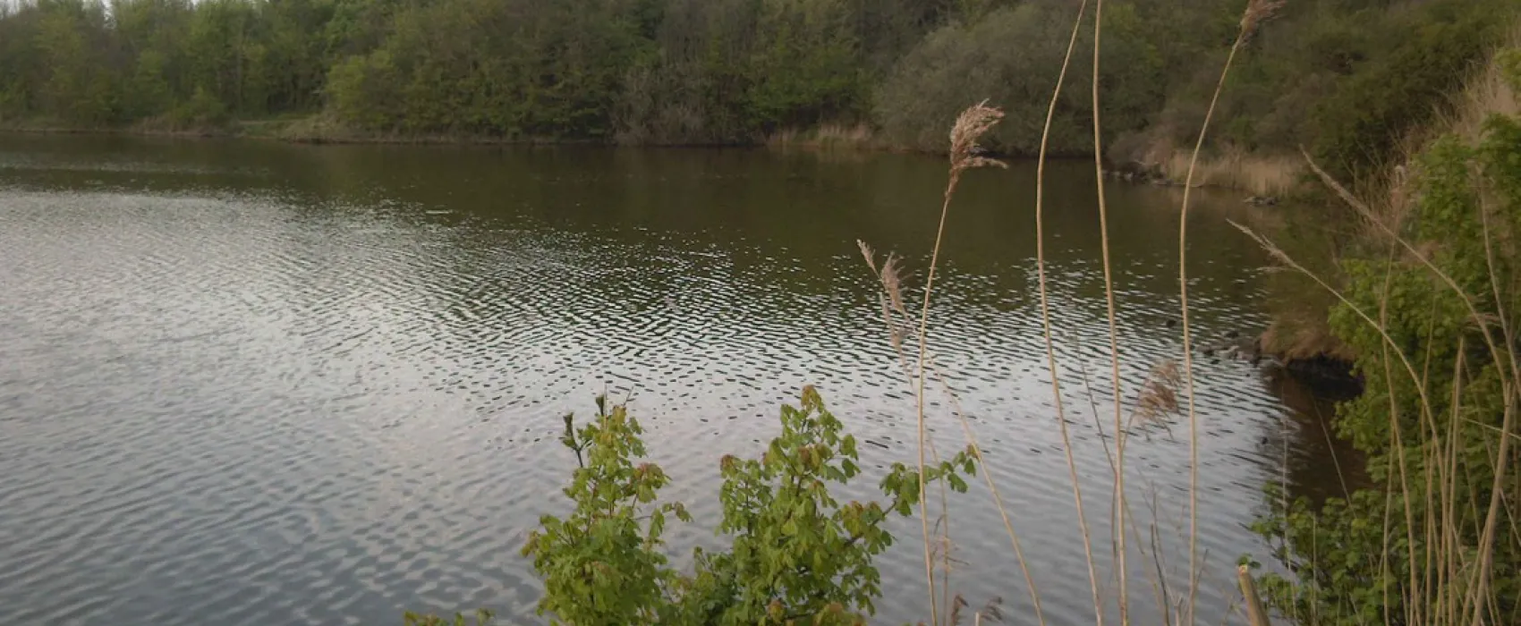 Camping De Vierbannen