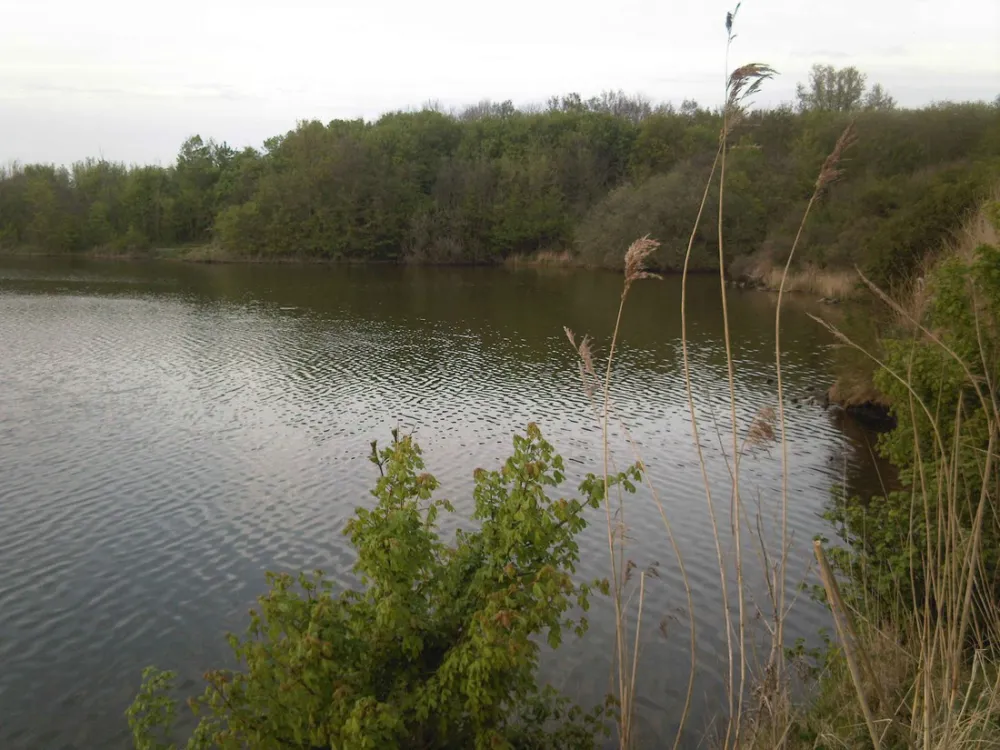 Camping De Vierbannen