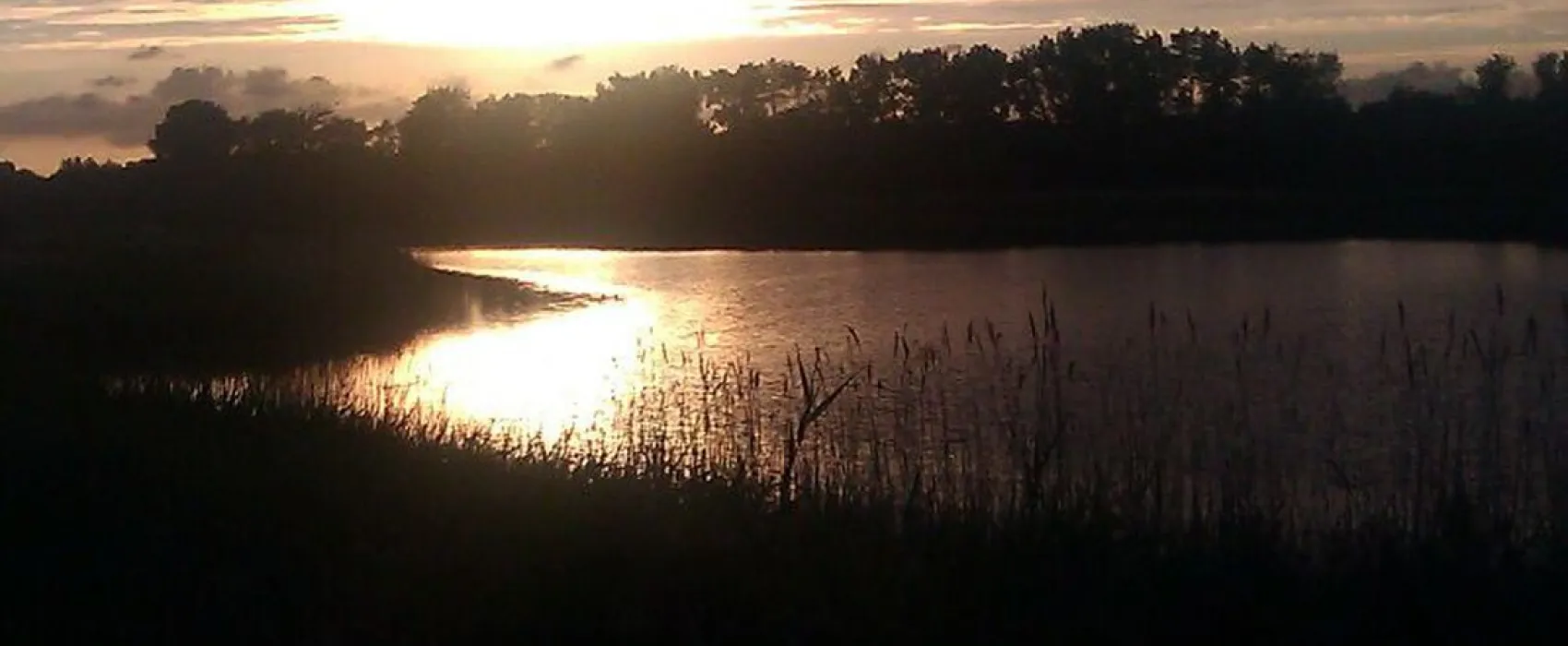 Camping De Vierbannen