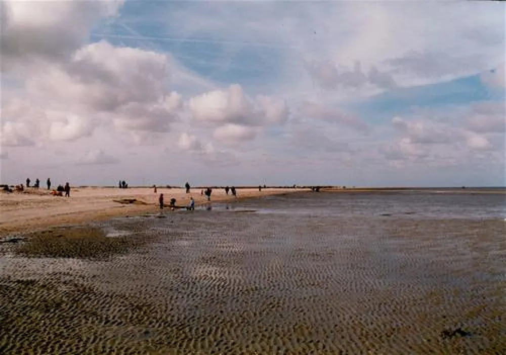 Campingplatz Schillig