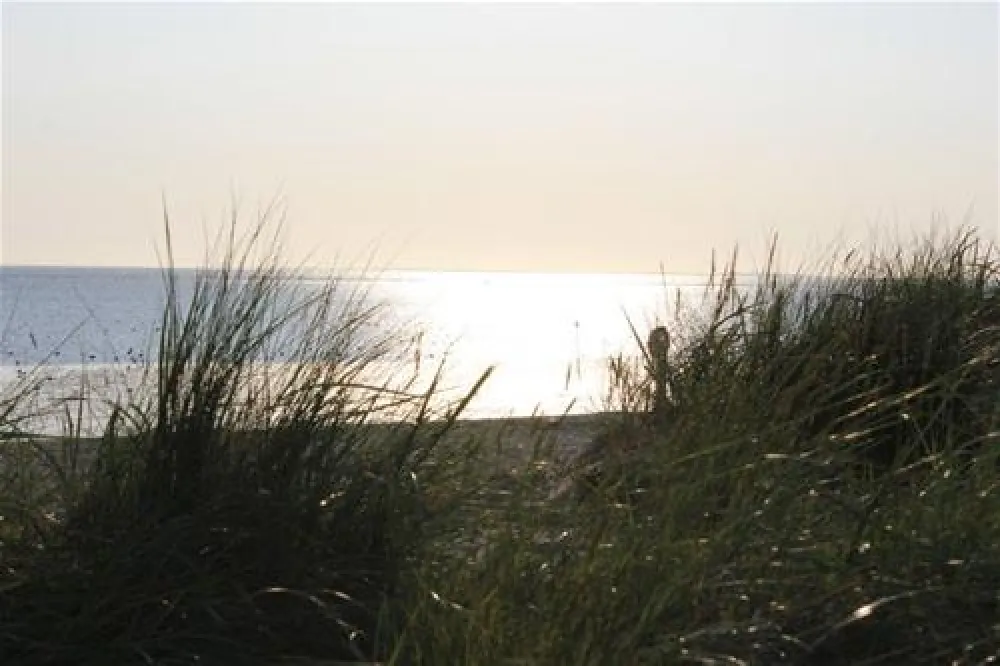 Campingplatz Schillig