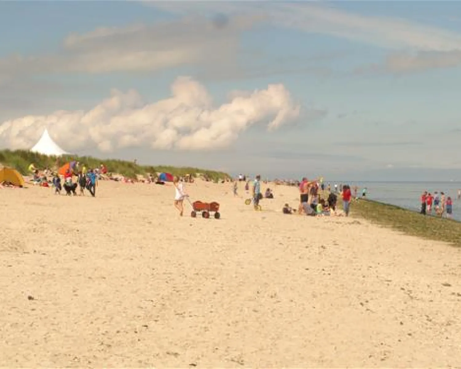 camping klappsthle Campingstuhl CANADA Faltbar Camping Klappstuhl Stuhl Regiestuhl Faltst   bruka24