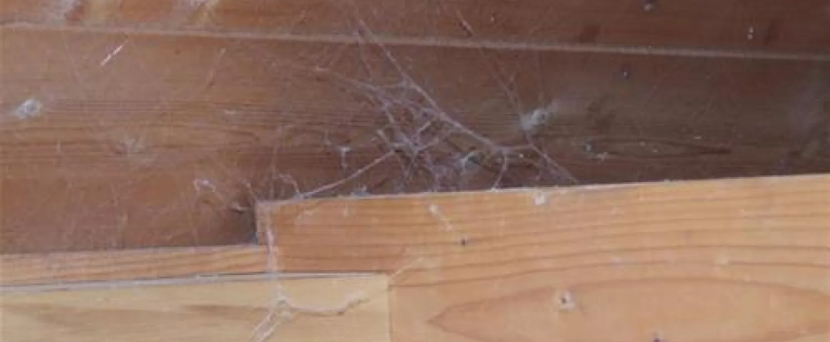 K.A.C.B.- R.A.C.B  Camping