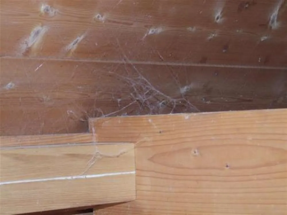 K.A.C.B.- R.A.C.B  Camping